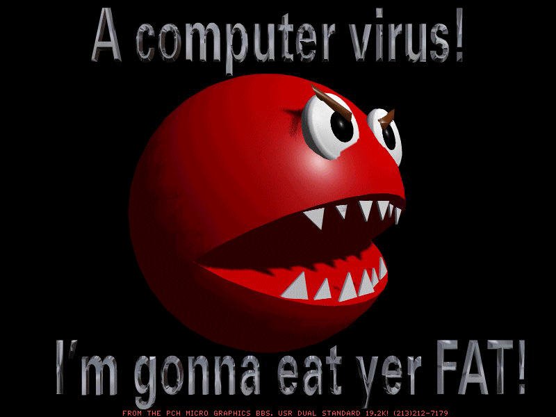 Definition of computer viruses